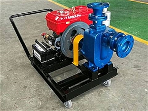YD-ZW移动式小型柴油机自吸水泵