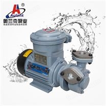防爆离心泵 磁力泵 高温导热油泵 旋涡泵 化工泵
