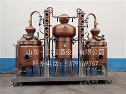 好用的蒸馏机组 水果酒蒸馏设备