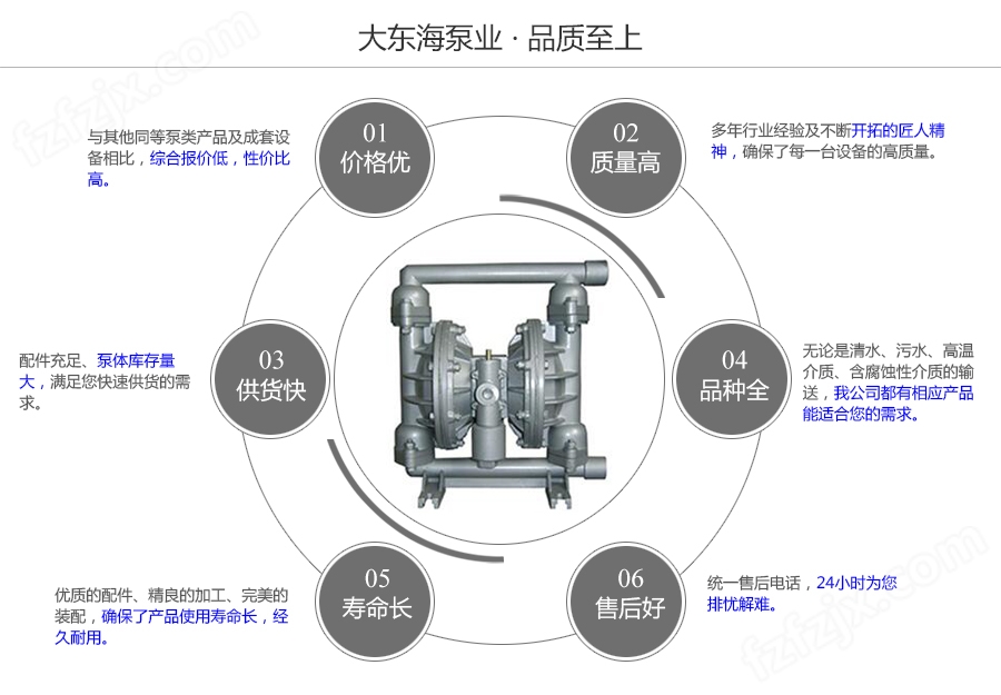 大东海泵业铸铁气动隔膜泵质量保证图