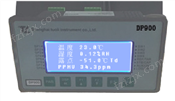 DP900露点仪 同时显示露点值 湿度值 PPM值 温度值 多功能在线