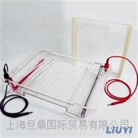 DYCP-32C琼脂糖水平电泳仪(大号)|北京六一电泳设备市场报价|水平电泳仪（槽）厂家