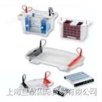 Mini PAGE 2D System垂直电泳|上海旦鼎|市场价格