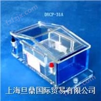 北京六一电泳仪价格 DYCP-31A琼脂糖电泳仪(槽)报价