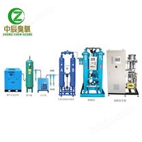 ZCO-1KG臭氧发生器，一公斤臭氧发生器，1000克氧气源臭氧发生器