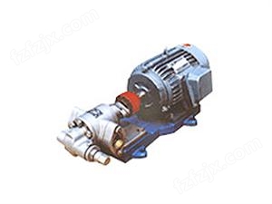 http://www.btclyb.com 的不锈钢齿轮油泵-不锈钢齿轮泵-不锈钢泵