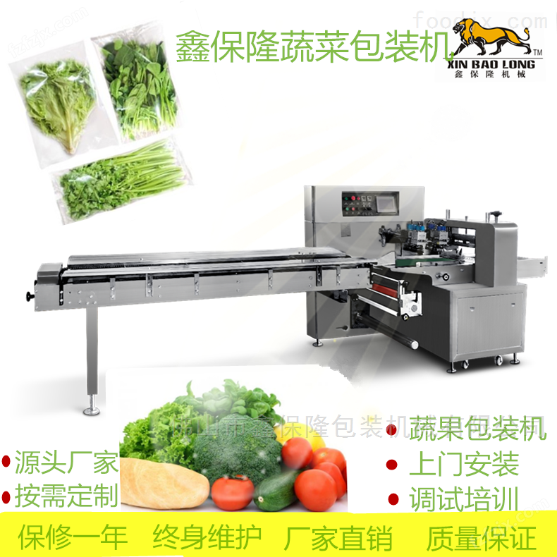 蔬菜多功能枕式包装机公司