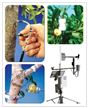 Dynamax-1K  植物生理生态监测系统